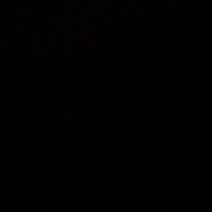 Meet your Posher, Angel